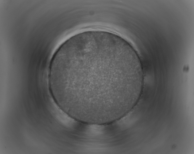 X0000092291514200710121424