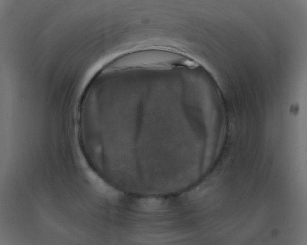 X0000092291515200710121424