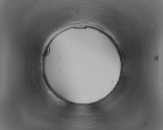 X0000092291516200710121424