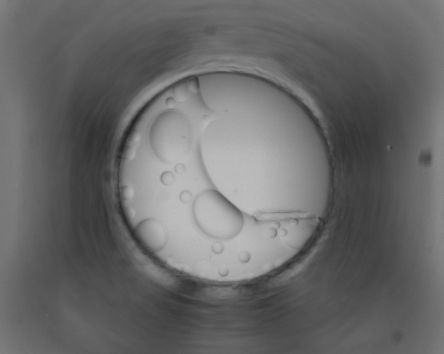 X0000092291517200710121424