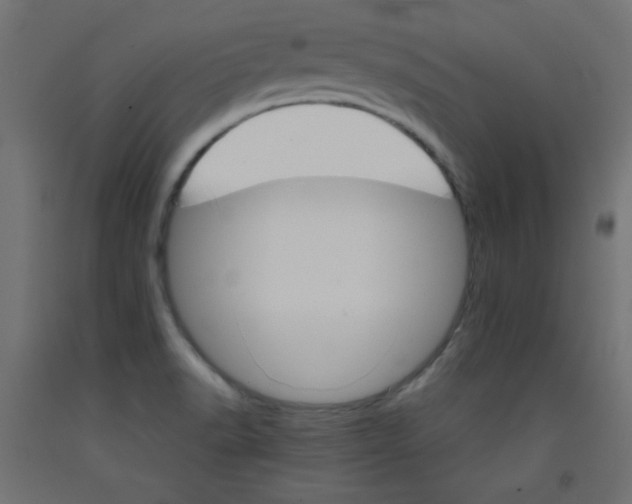 X0000092291518200710121424