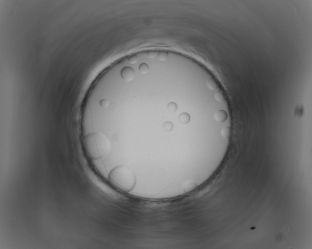 X0000092291519200710121424