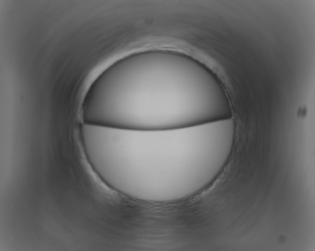 X0000092291520200710121424