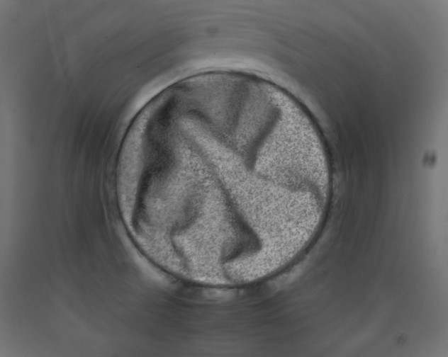 X0000092291521200710121424