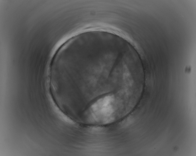 X0000092291522200710121424