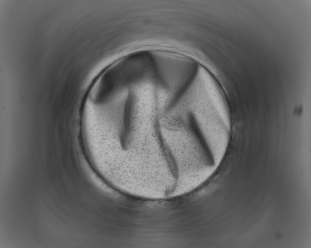 X0000092291523200710121424