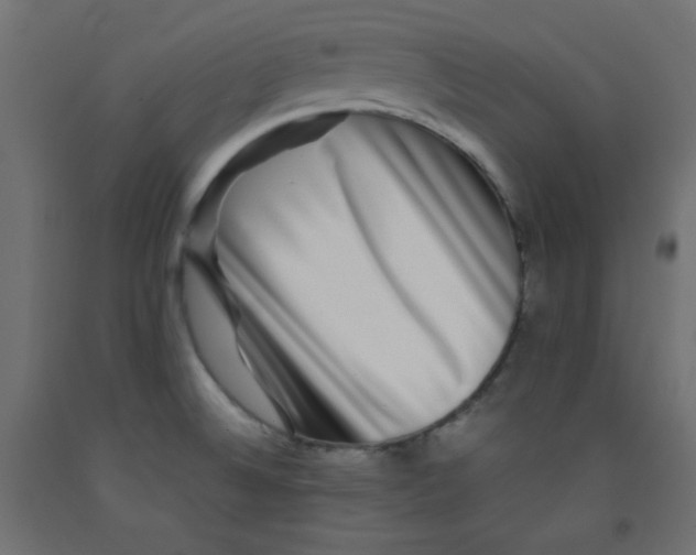 X0000092291524200710121424