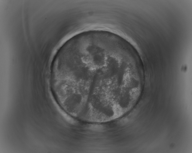 X0000092291525200710121424