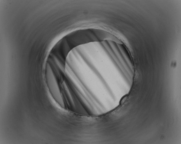 X0000092291528200710121424