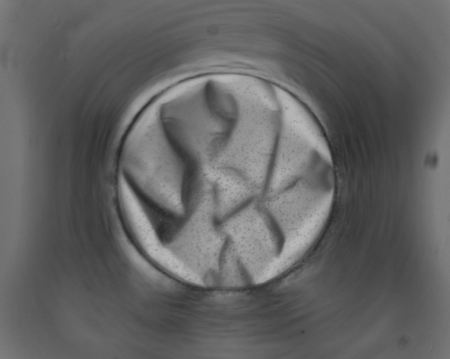 X0000092291531200710121424