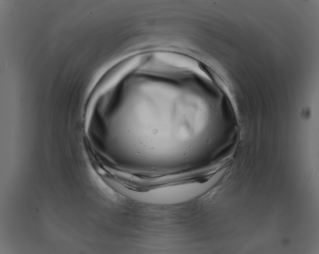 X0000092291532200710121424