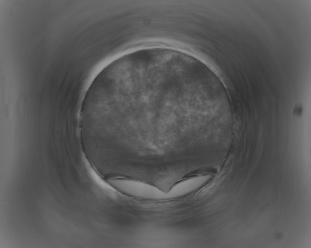 X0000092291535200710121424