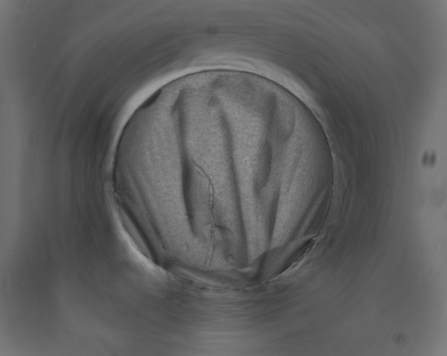 X0000092291536200710121424