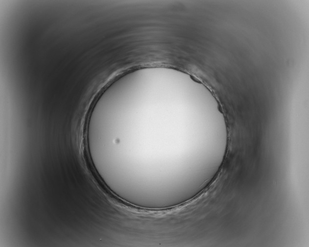 X0000092300002200709141007