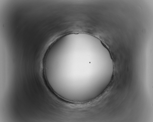 X0000092300005200709141007
