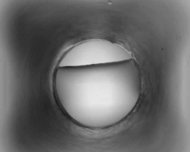 X0000092300006200709141007