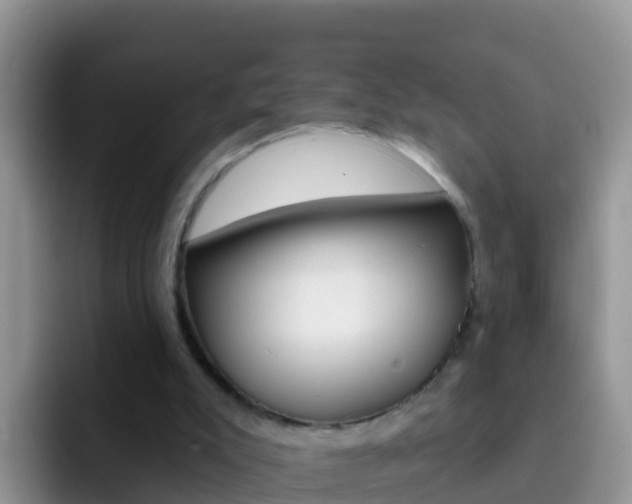 X0000092300007200709141007
