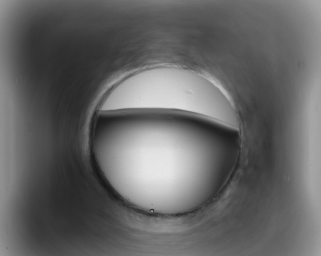 X0000092300008200709141007