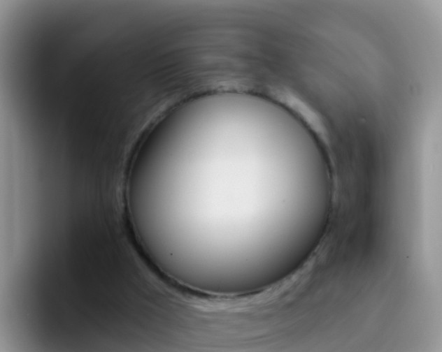 X0000092300009200709141007