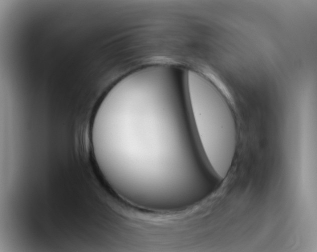 X0000092300011200709141007