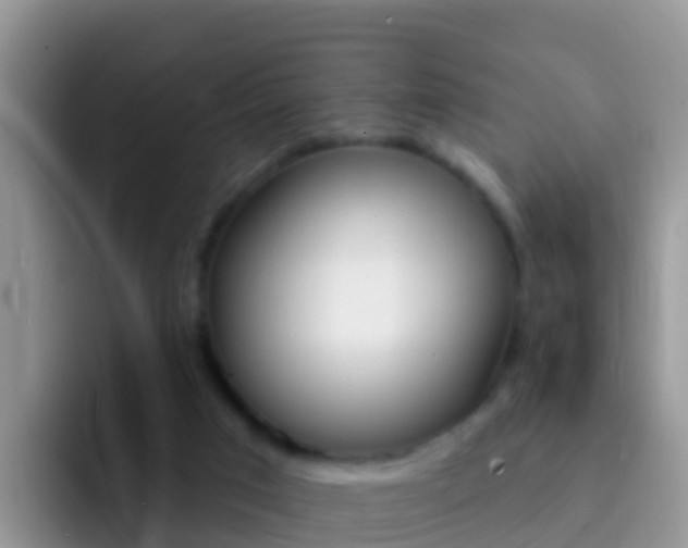 X0000092300017200709141007
