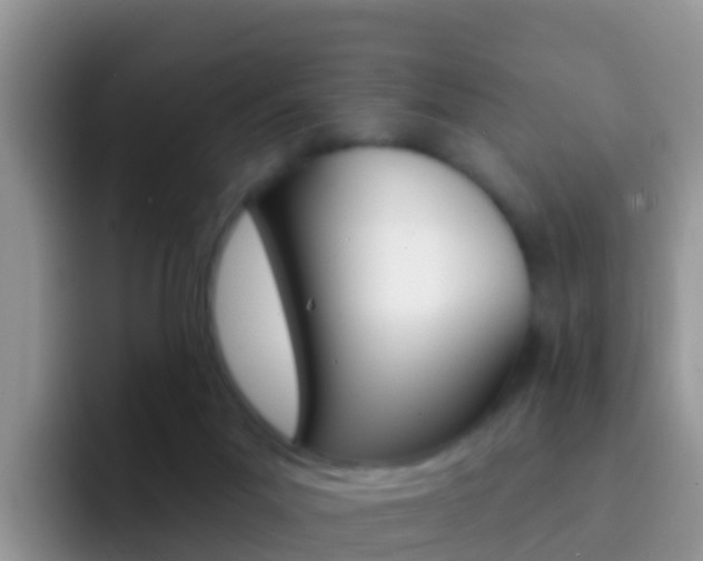 X0000092300023200709141007