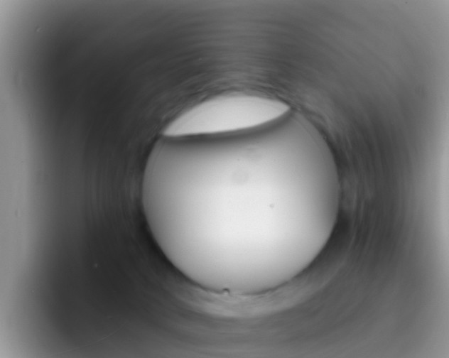 X0000092300034200709141006