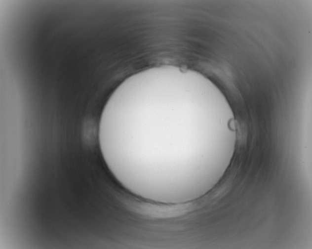 X0000092300036200709141006
