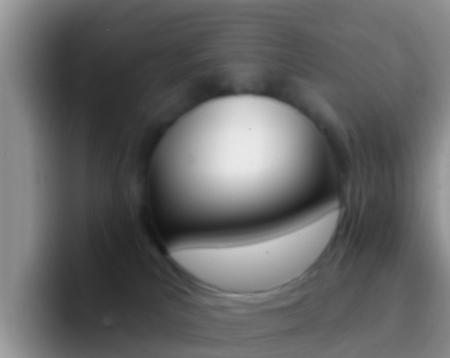 X0000092300039200709141006