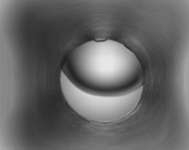 X0000092300041200709141006