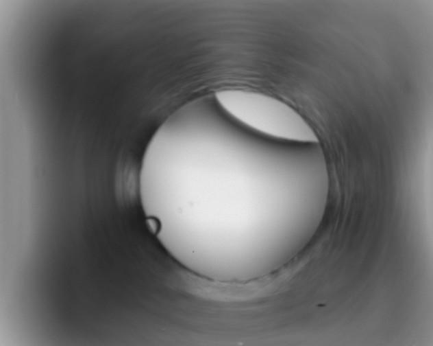 X0000092300042200709141006