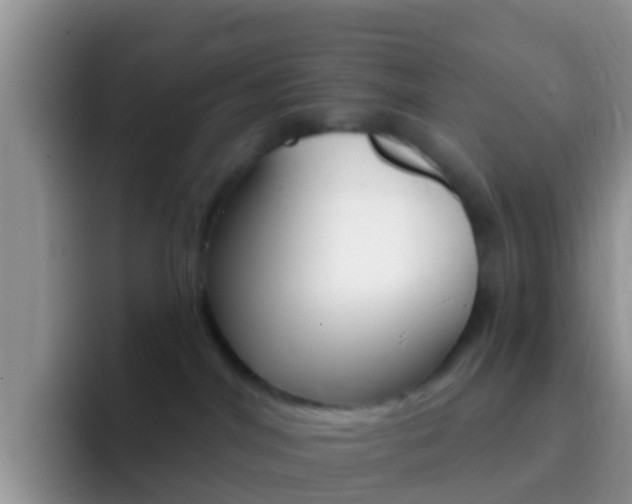 X0000092300044200709141006