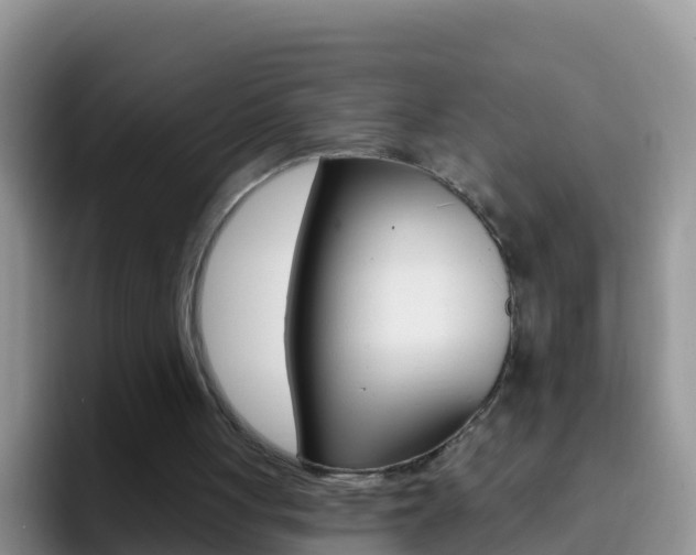 X0000092300051200709141006