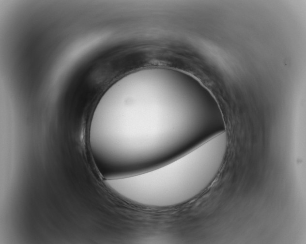 X0000092300052200709141006