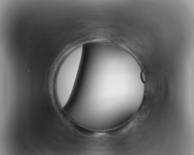 X0000092300055200709141006