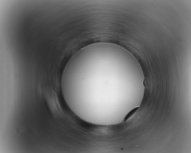 X0000092300086200709141006