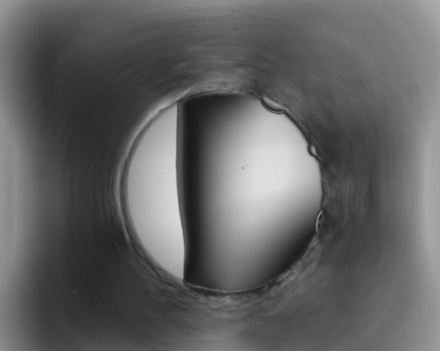 X0000092300100200709141006