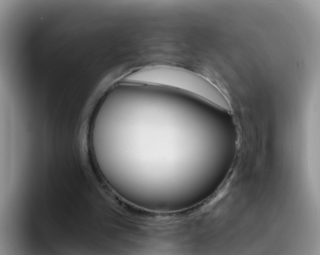 X0000092300101200709141006