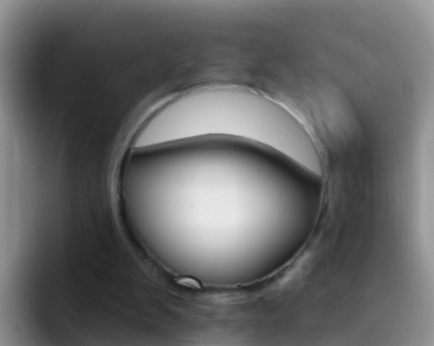 X0000092300103200709141005