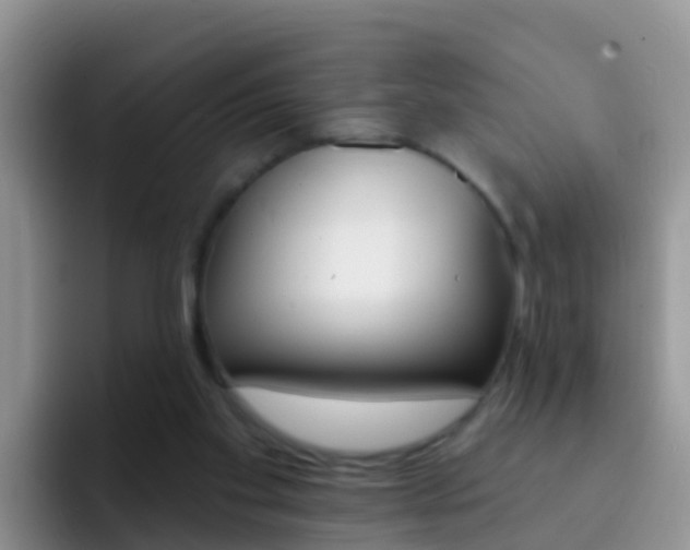 X0000092300109200709141005