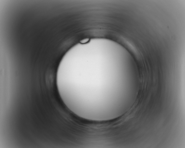 X0000092300120200709141005