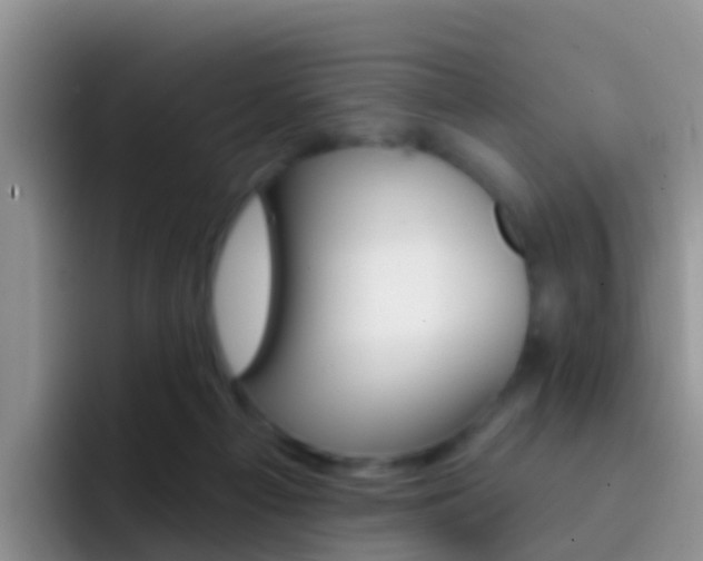 X0000092300121200709141005