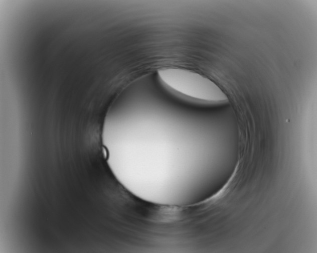 X0000092300144200709141005