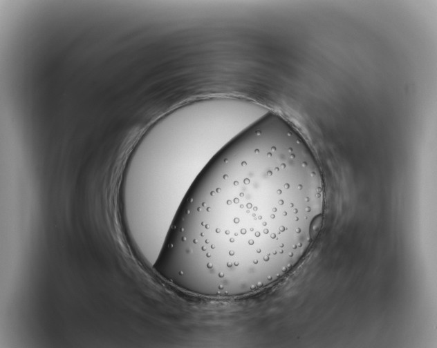 X0000092300145200709141004