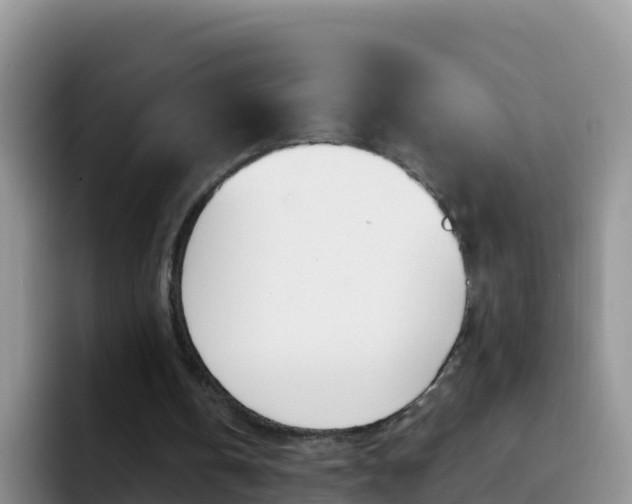X0000092300146200709141004