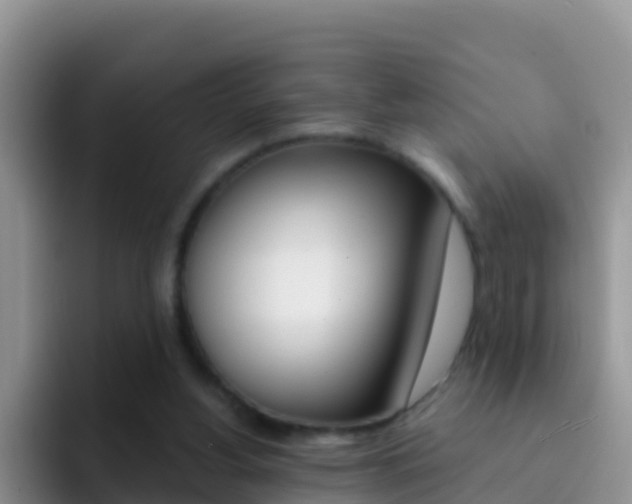 X0000092300156200709141005