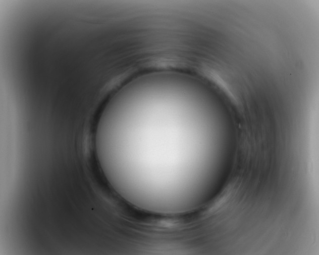 X0000092300164200709141005