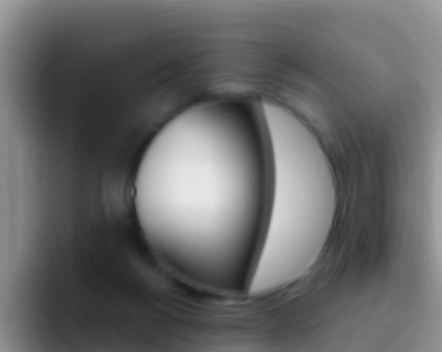 X0000092300168200709141005