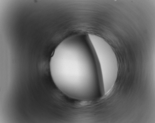 X0000092300184200709141005