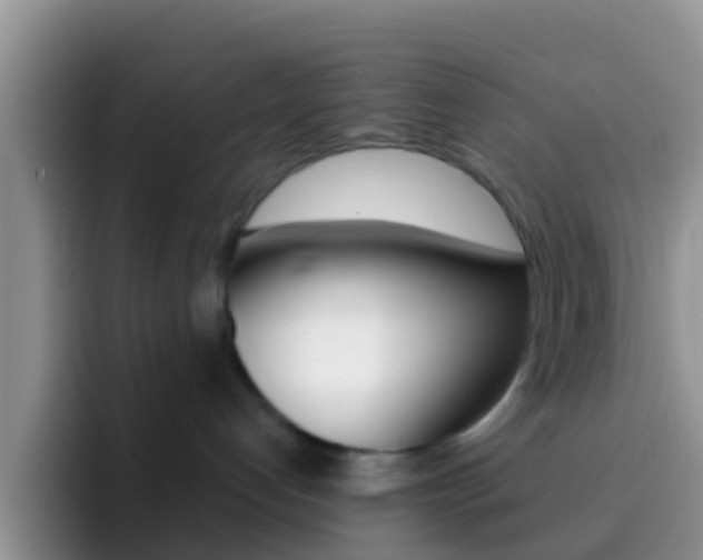 X0000092300192200709141005